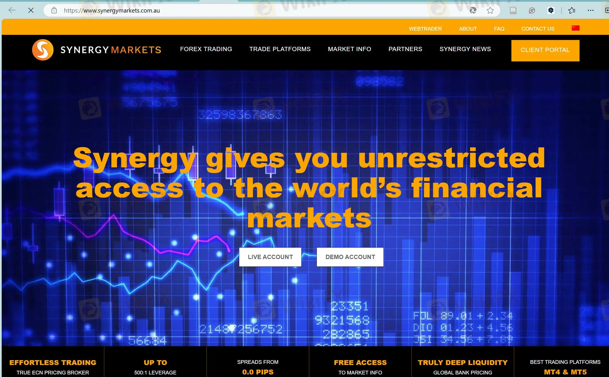 Synergy Markets' Homepage