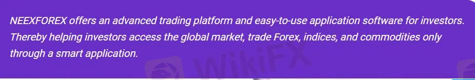 在NEEXFOREX上可以交易什么？