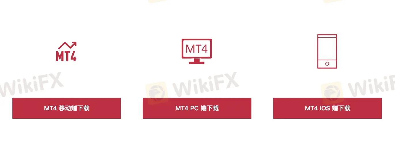 MT4