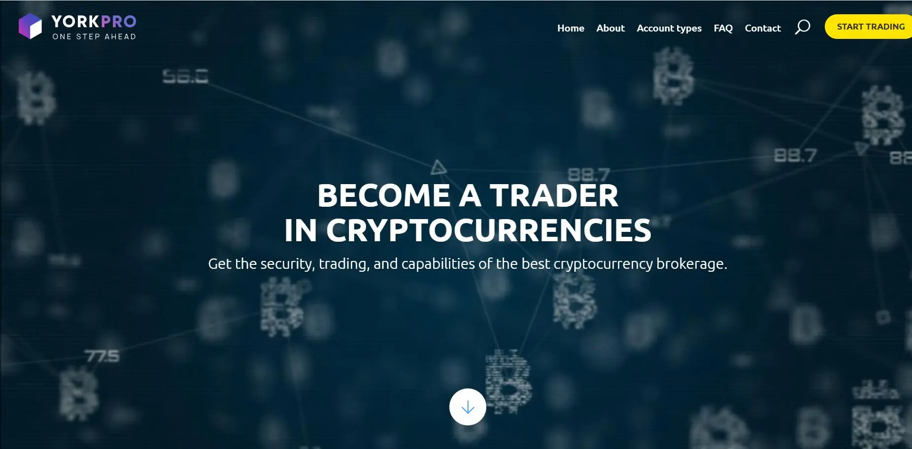 Yorkpro Information