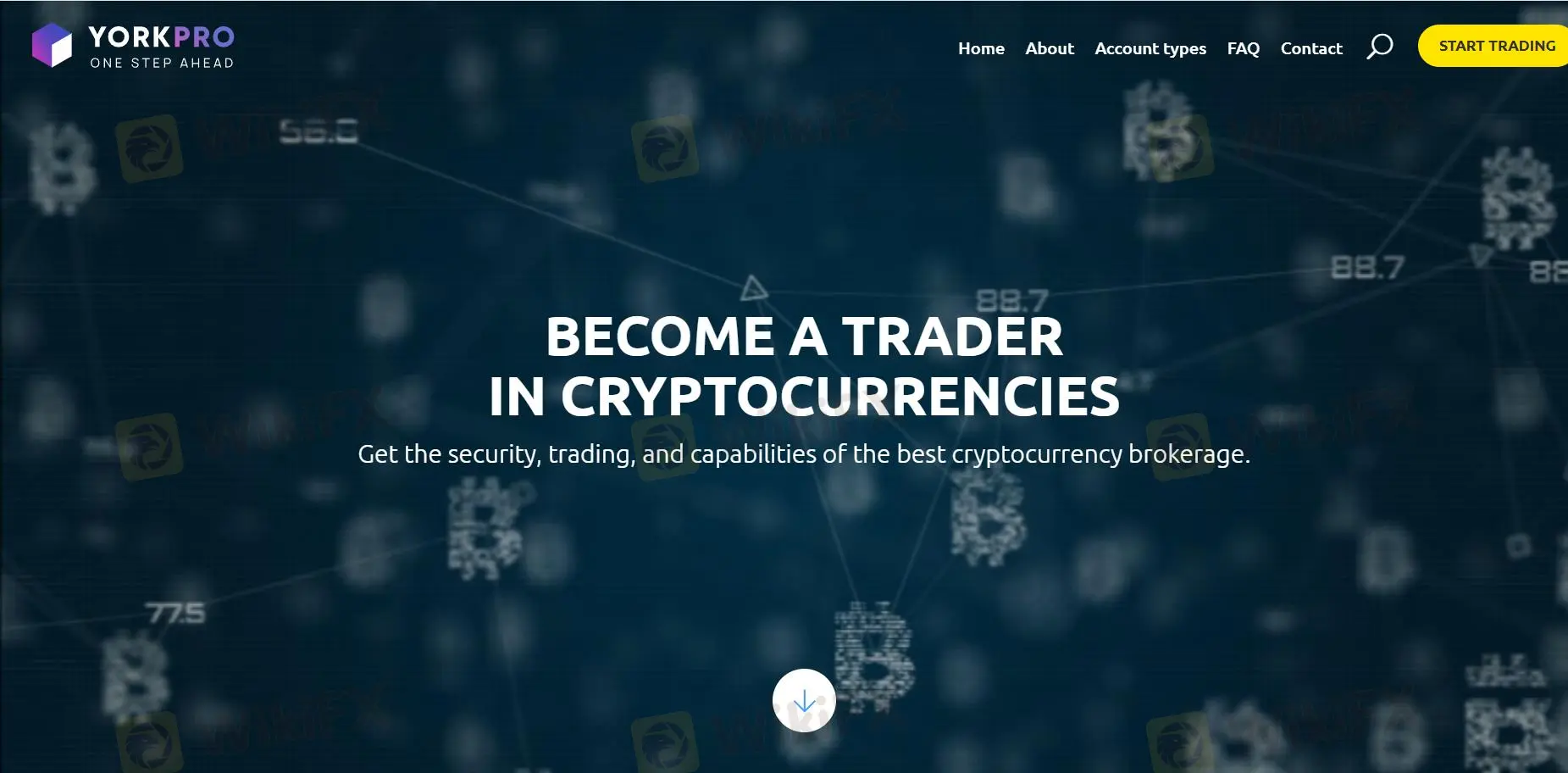 Yorkpro Information
