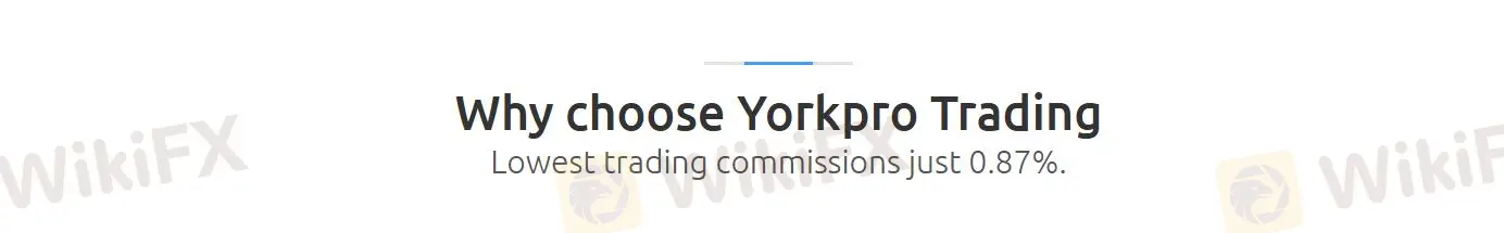 Yorkpro 费用