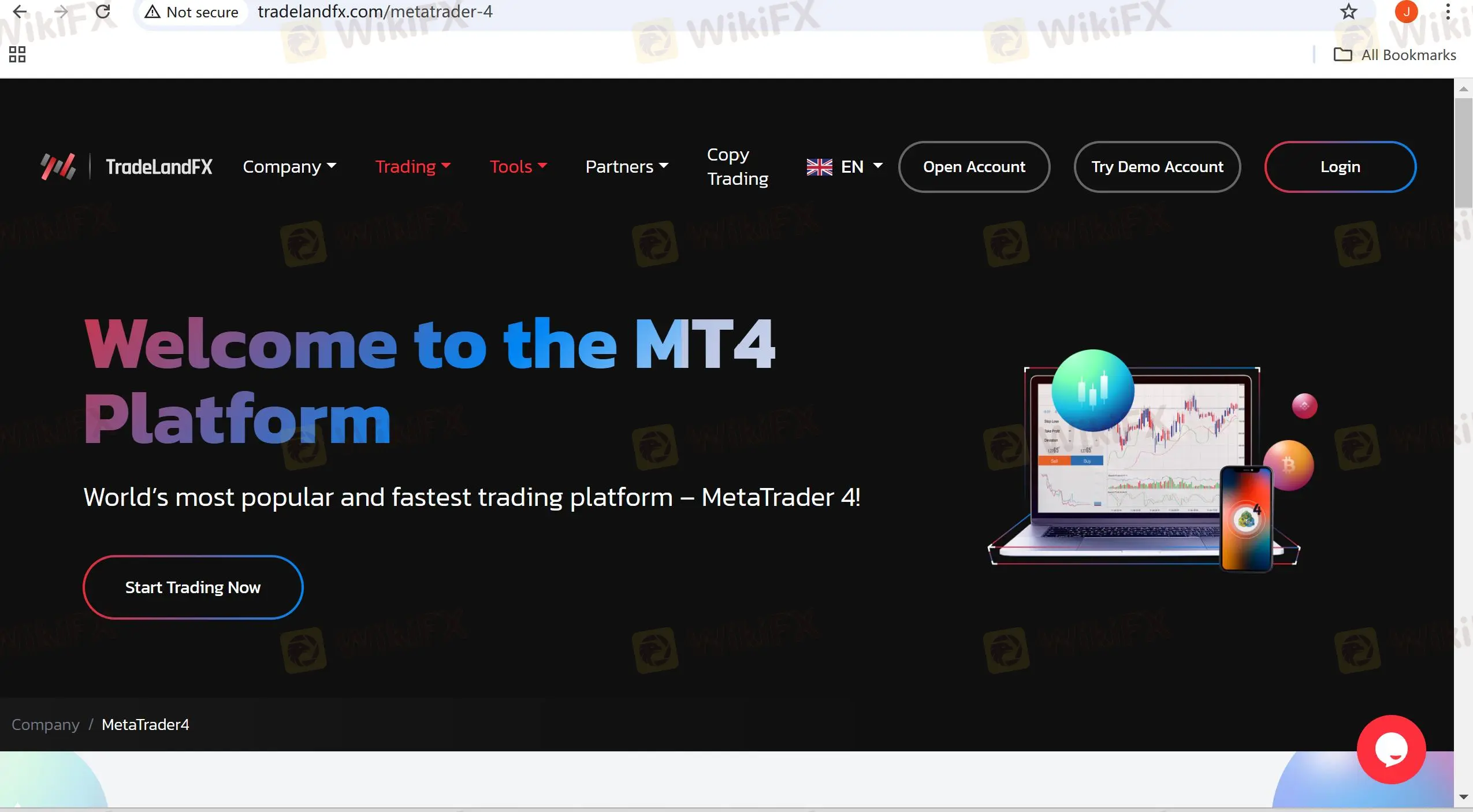 MT4