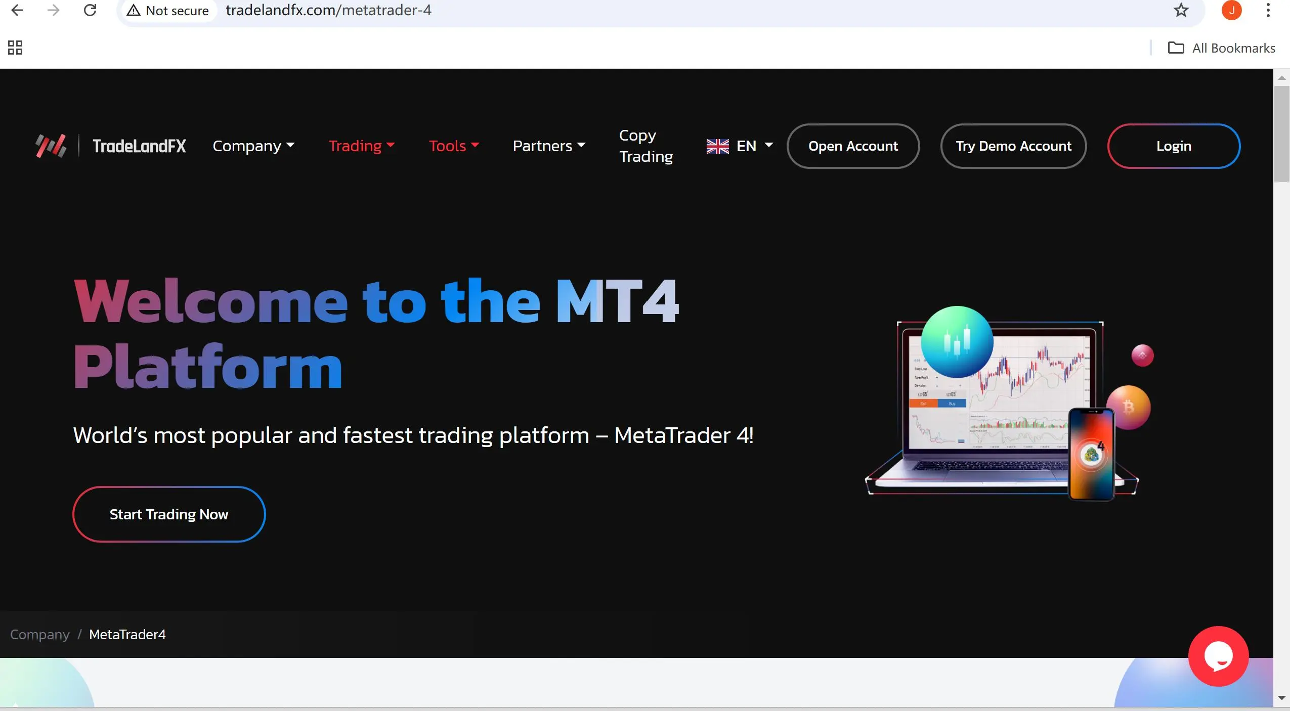 MT4