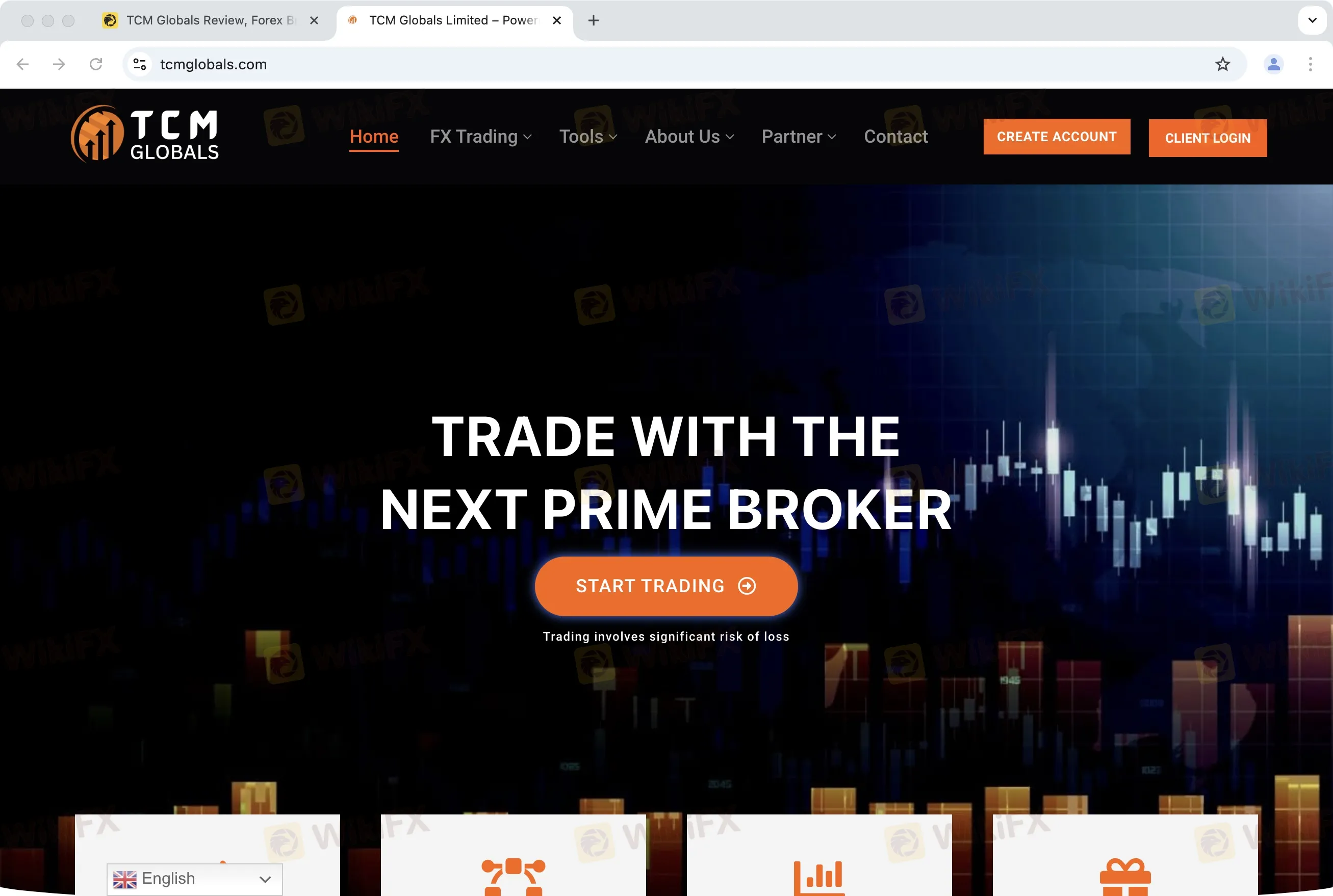 TCM Globals 信息