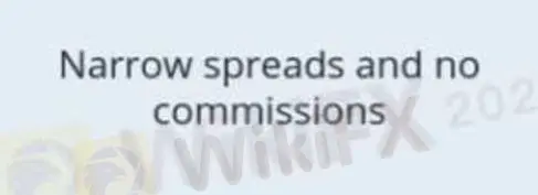 Solver Trade手数料