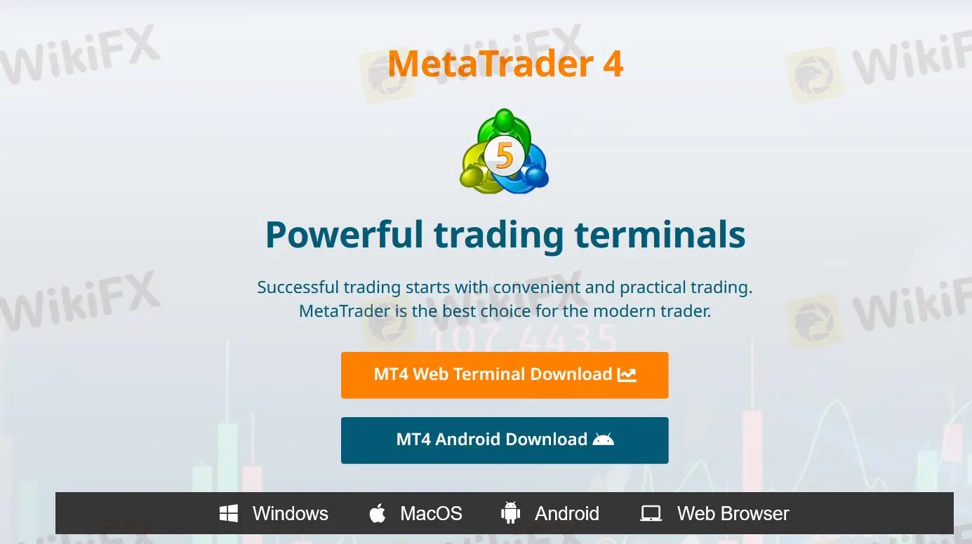 MT4