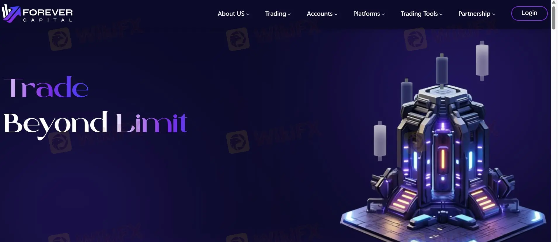 Forever Capital Limited Bilgileri Forever Capital Limited Bilgileri