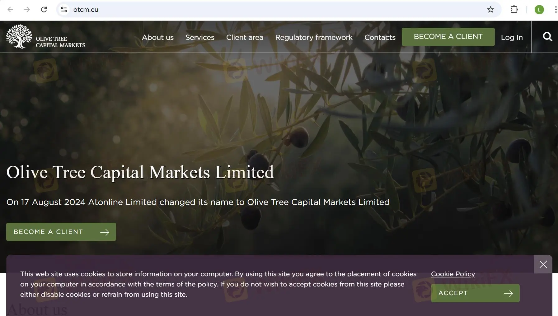 Olive Tree Capital Markets' homepage