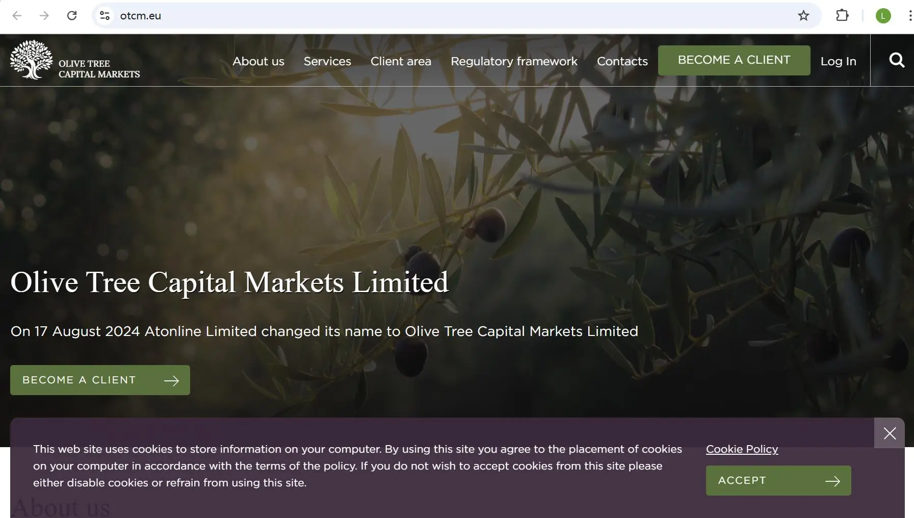 Olive Tree Capital Markets' Homepage Olive Tree Capital Markets' Homepage