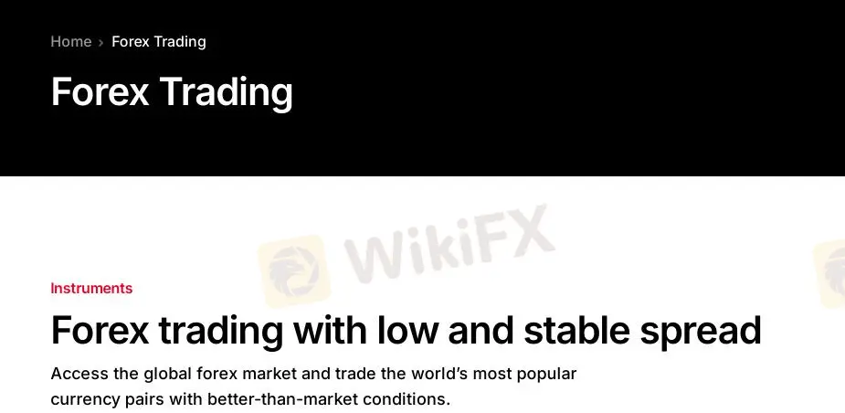 ما يمكنني التداول به في IVY Markets؟ ما يمكنني التداول به في IVY Markets؟