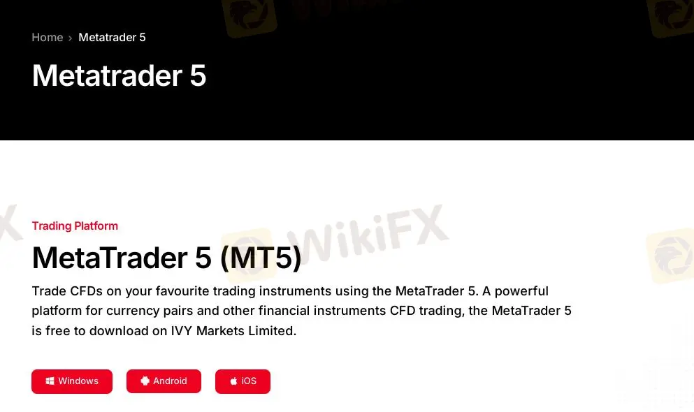 منصة التداول منصة التداول