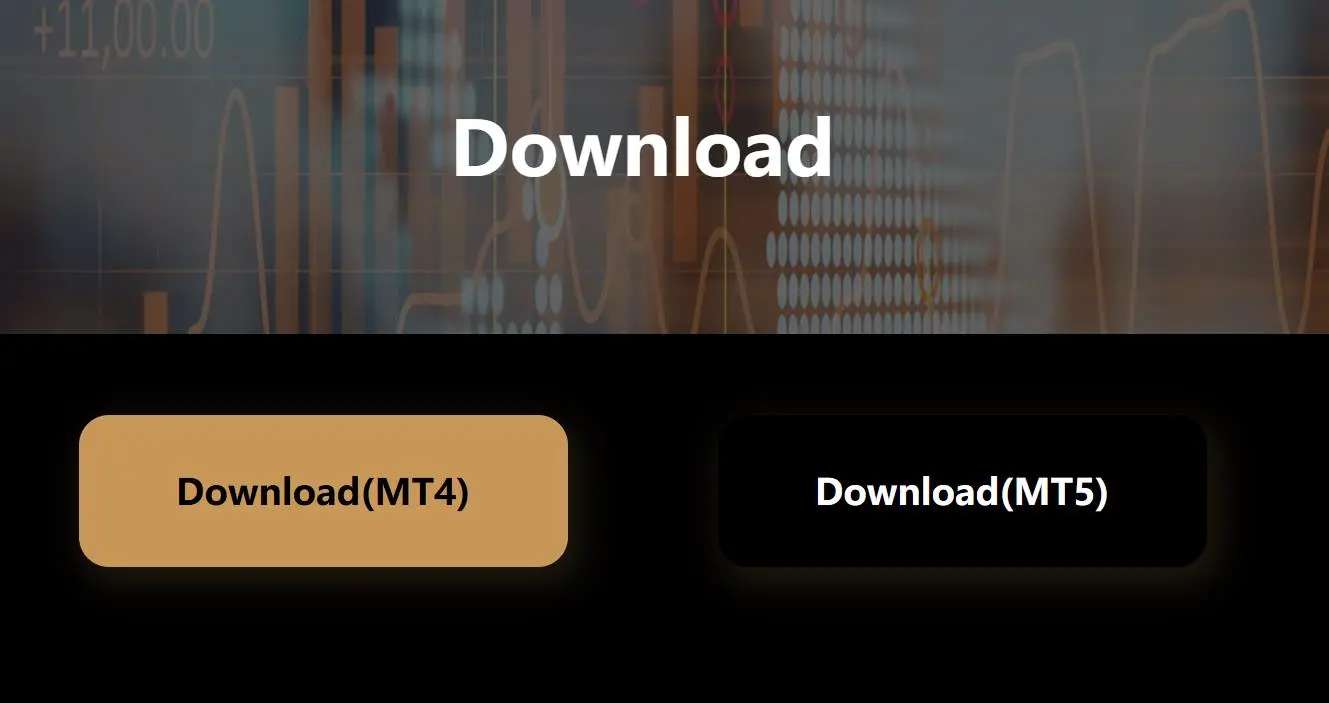 Trading Platform Trading Platform