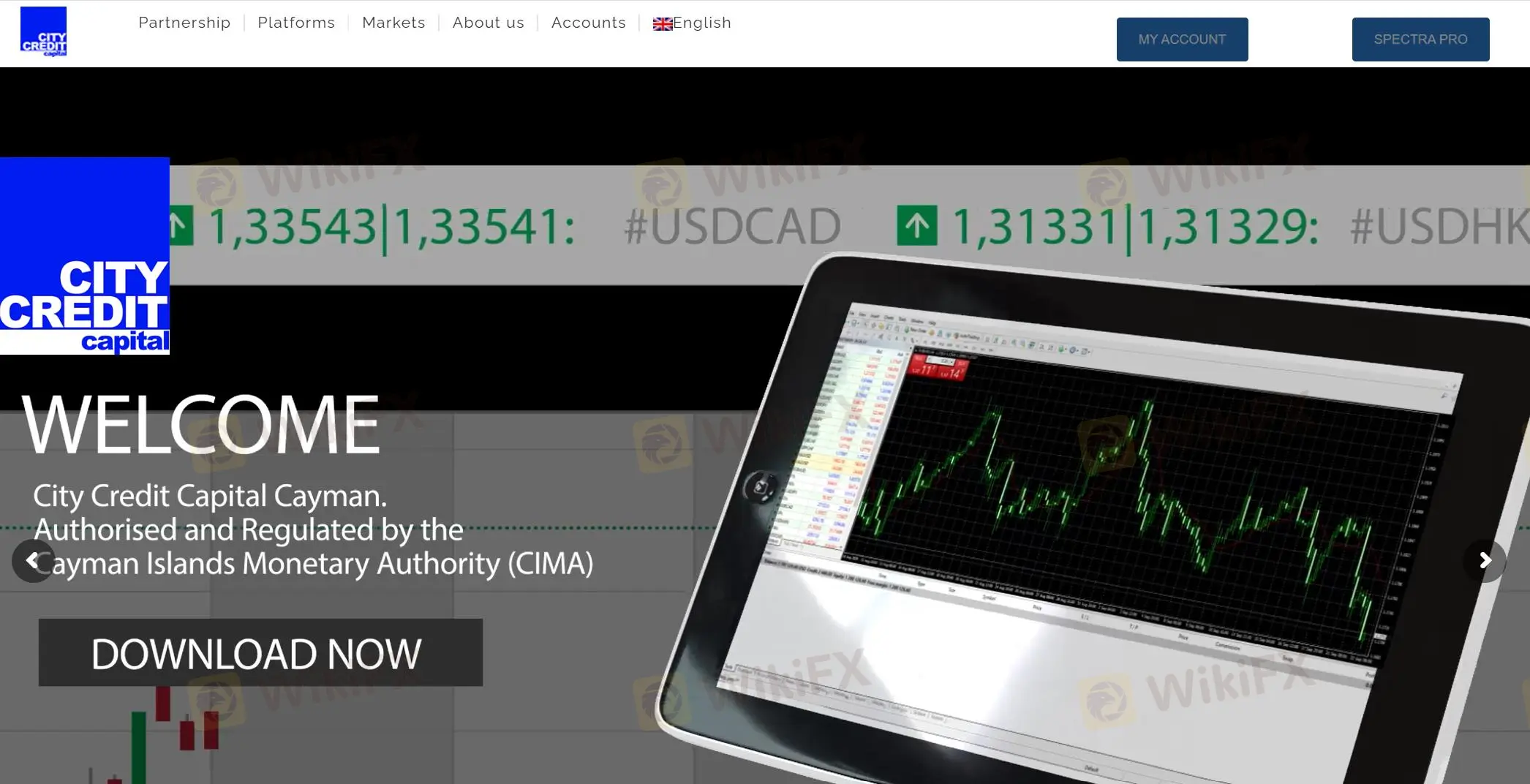 City Credit Capital Information