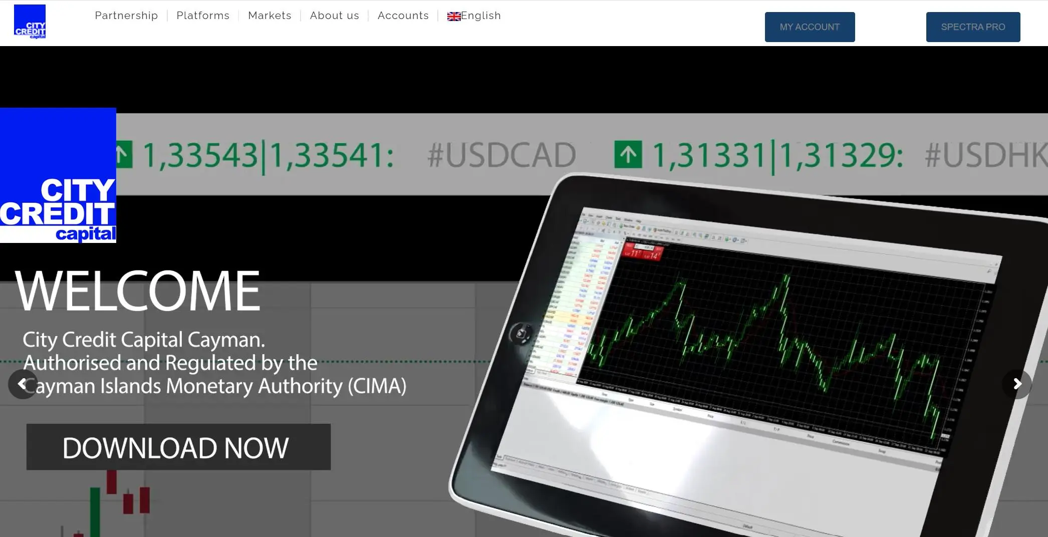 City Credit Capital Information