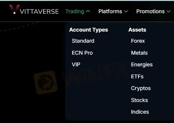 What Can I Trade on VITTAVERSE?