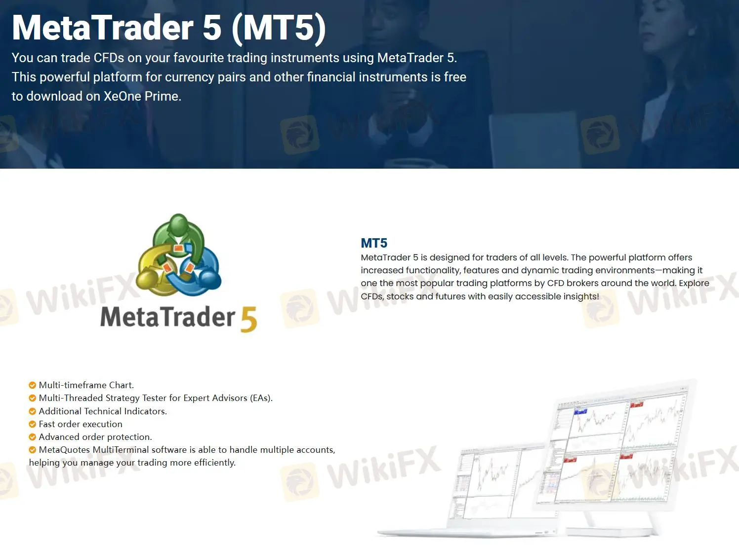 MT5