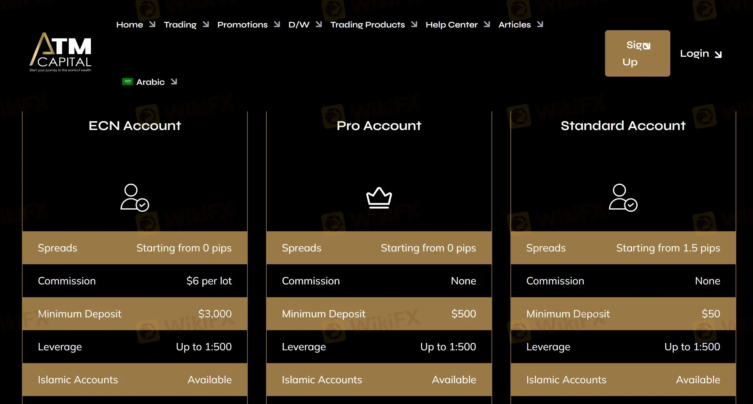 Kontovergleich Kontovergleich