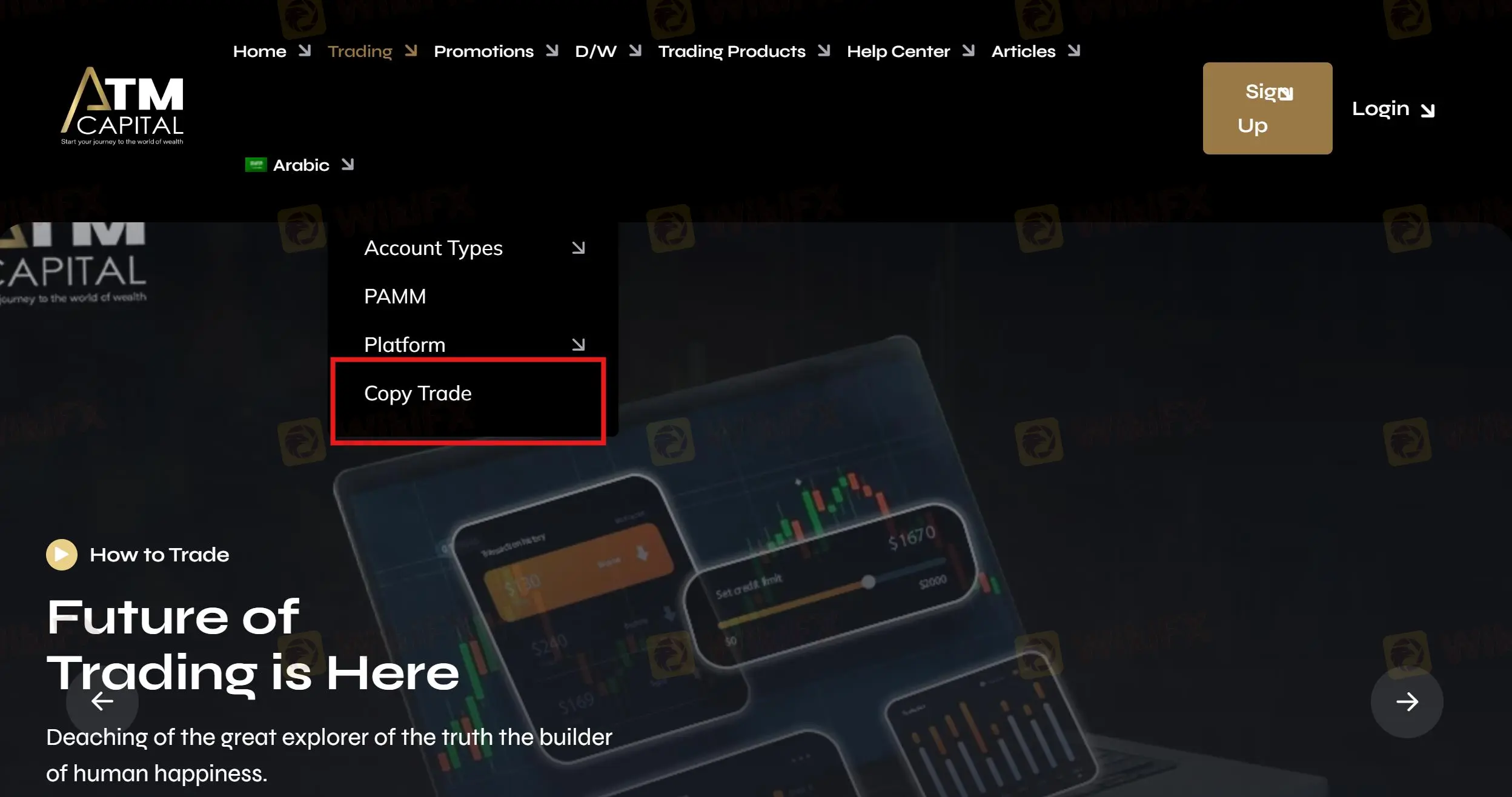 Copy Trading Copy Trading