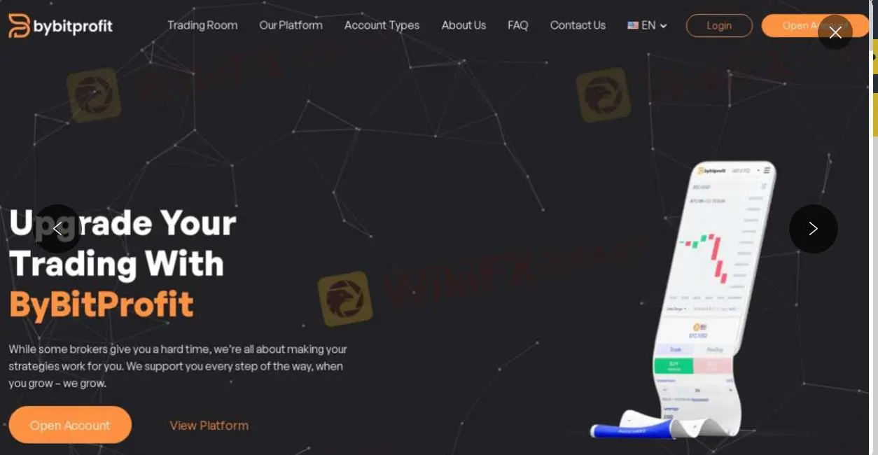 ByBitProfit Information