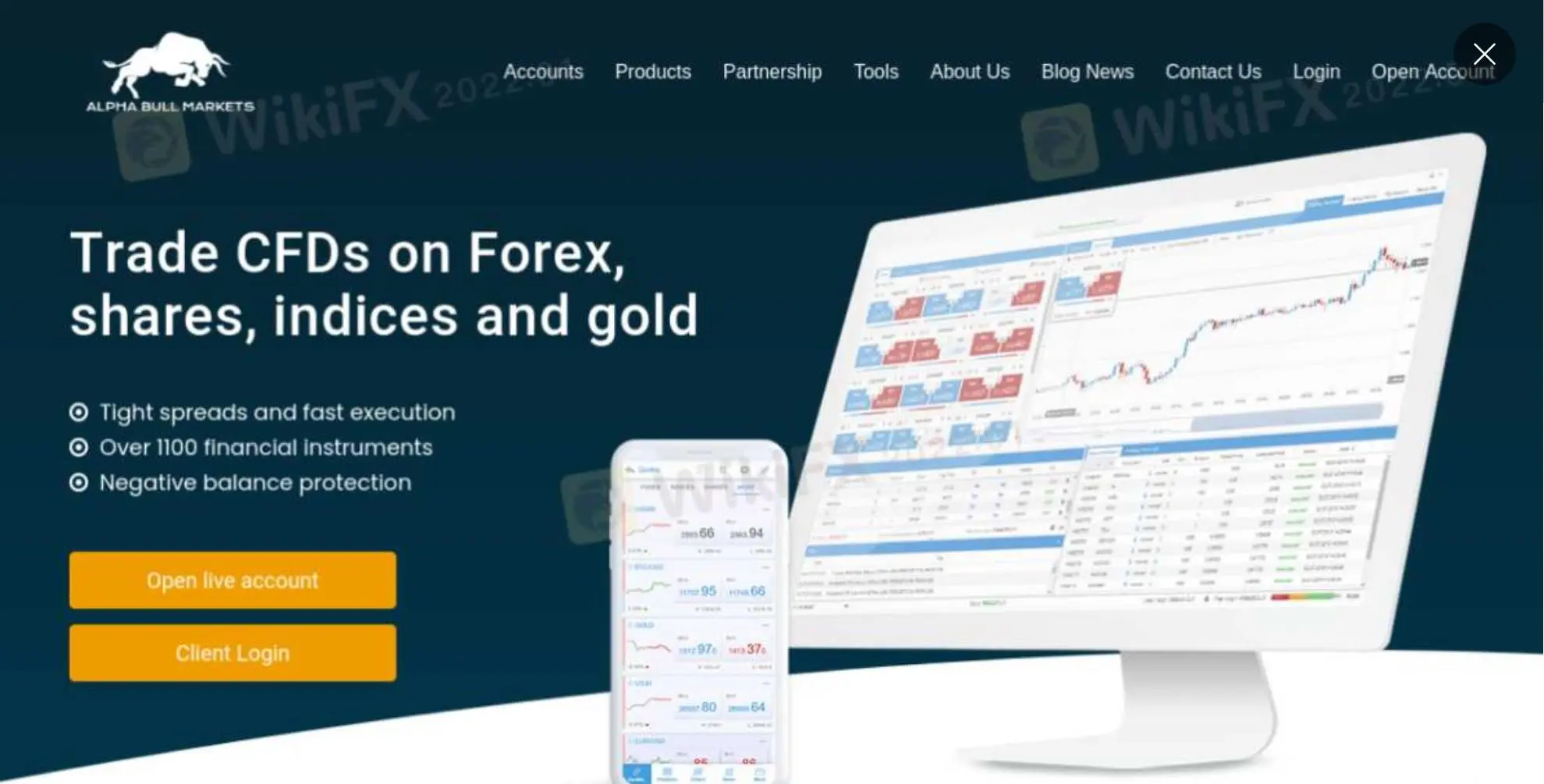 Alpha 牛市s信息