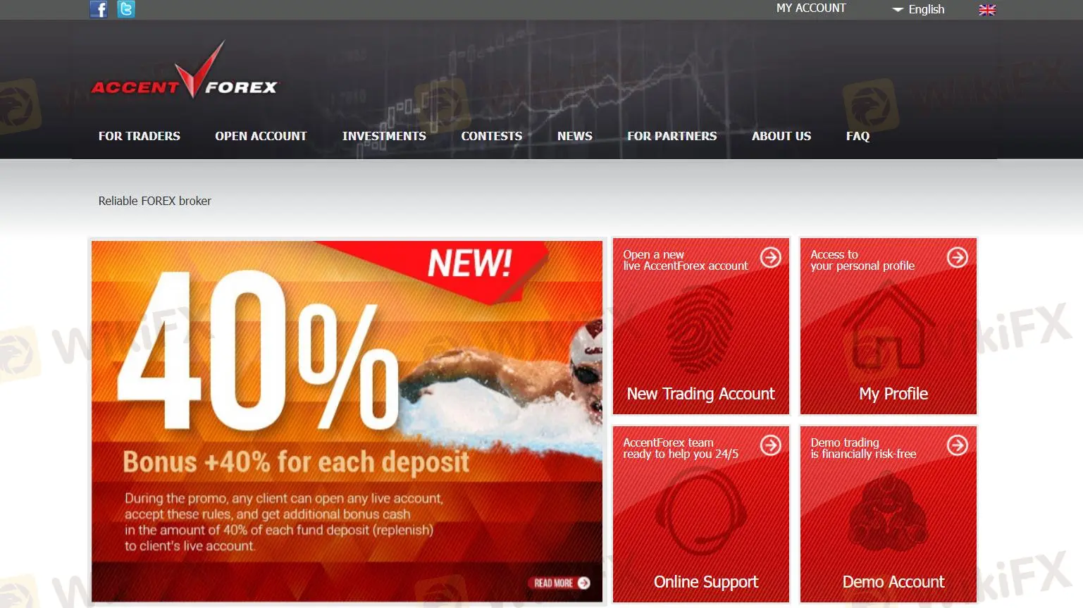 AccentForex Information