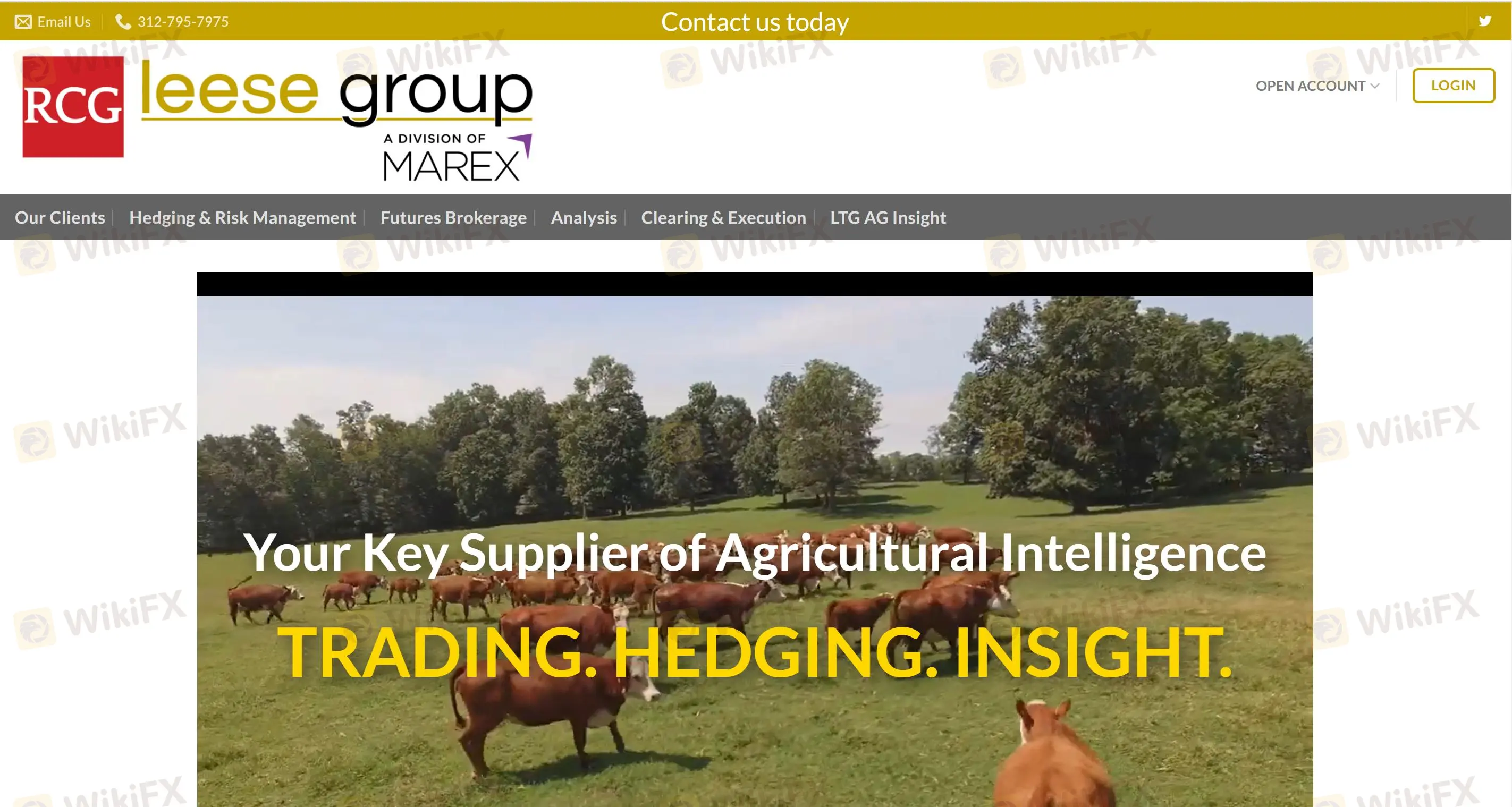 Leese Trading Group Impormasyon