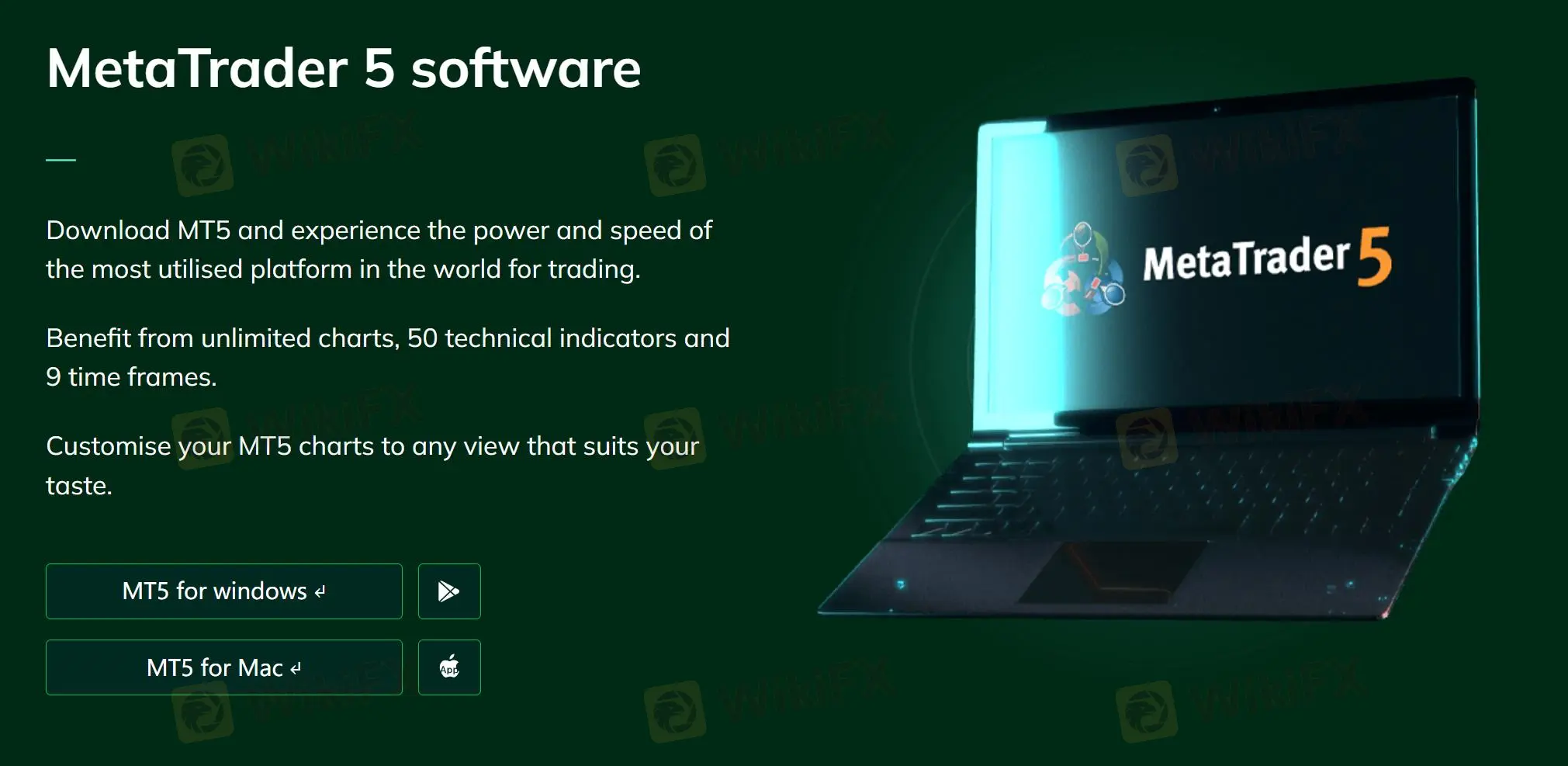 MT5