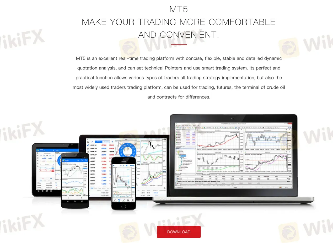 MT5