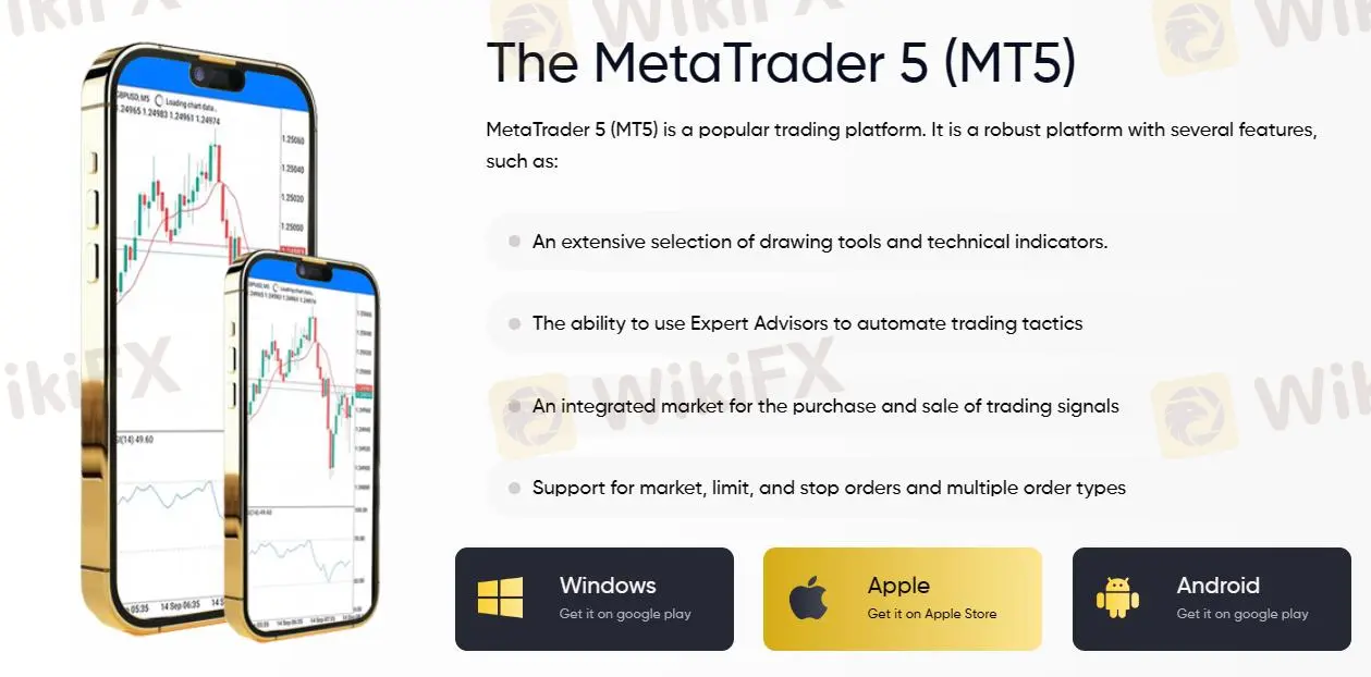 MT5