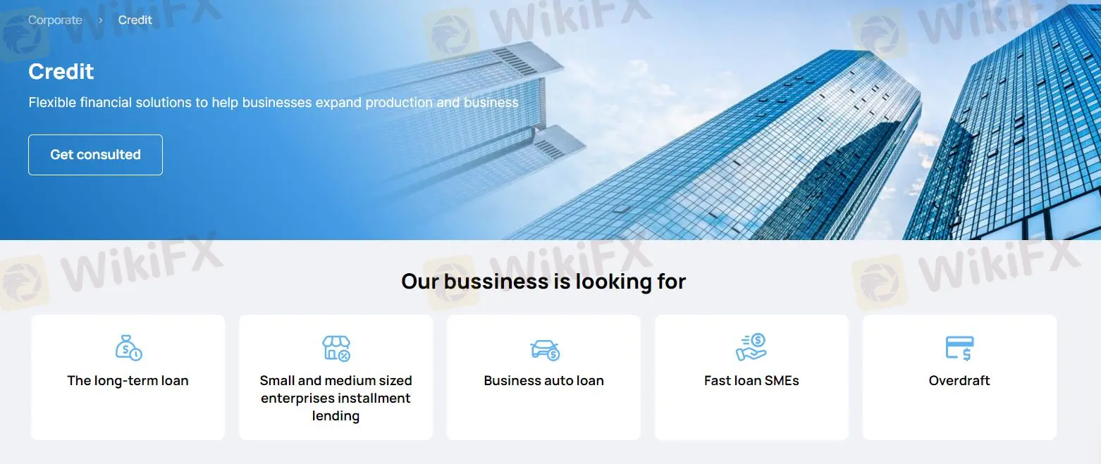 Loans