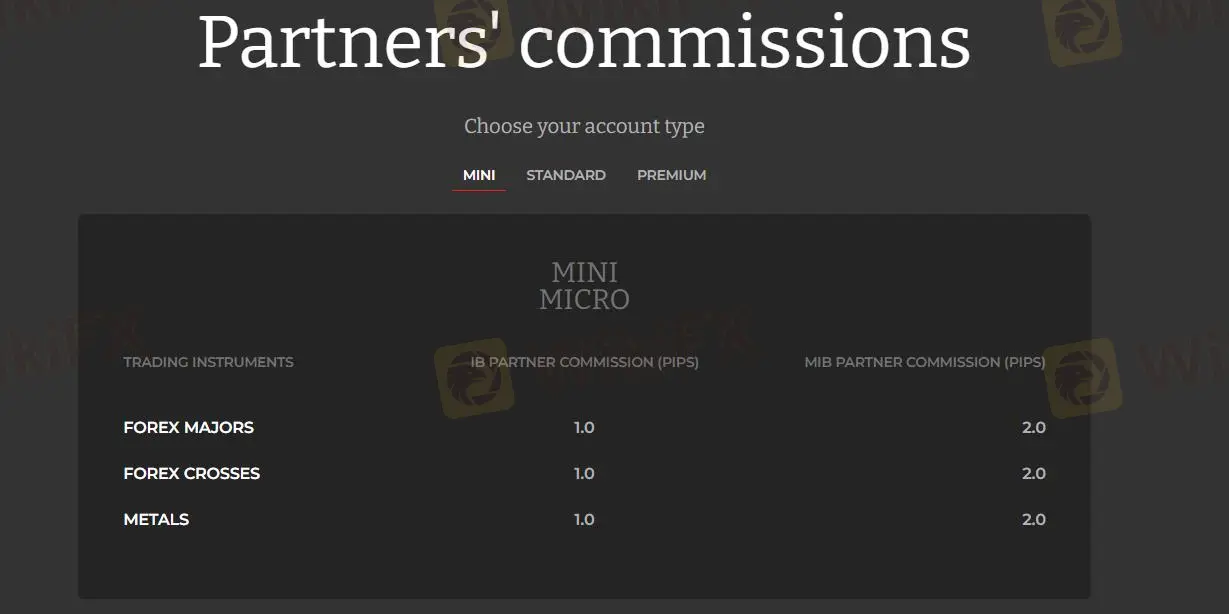 Mini account