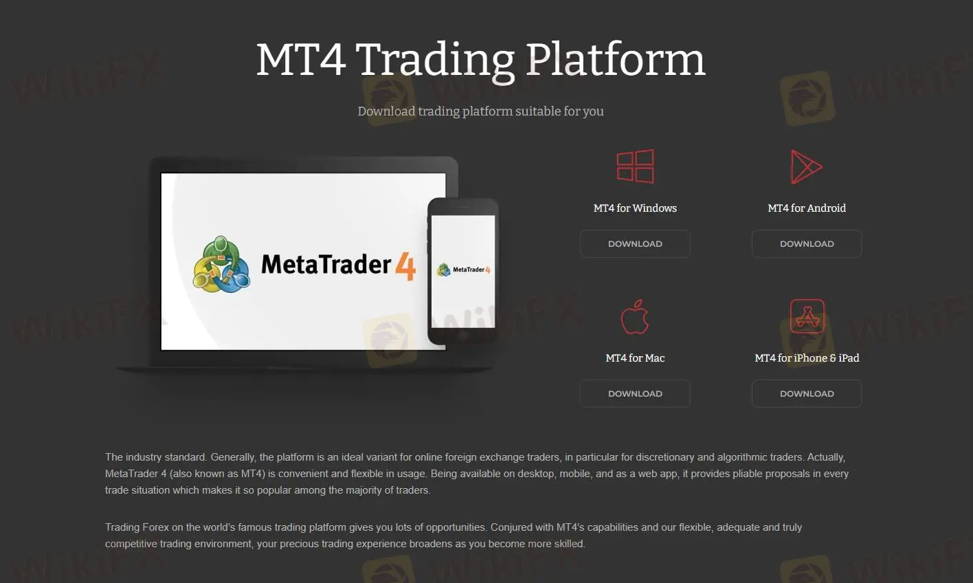 MT4