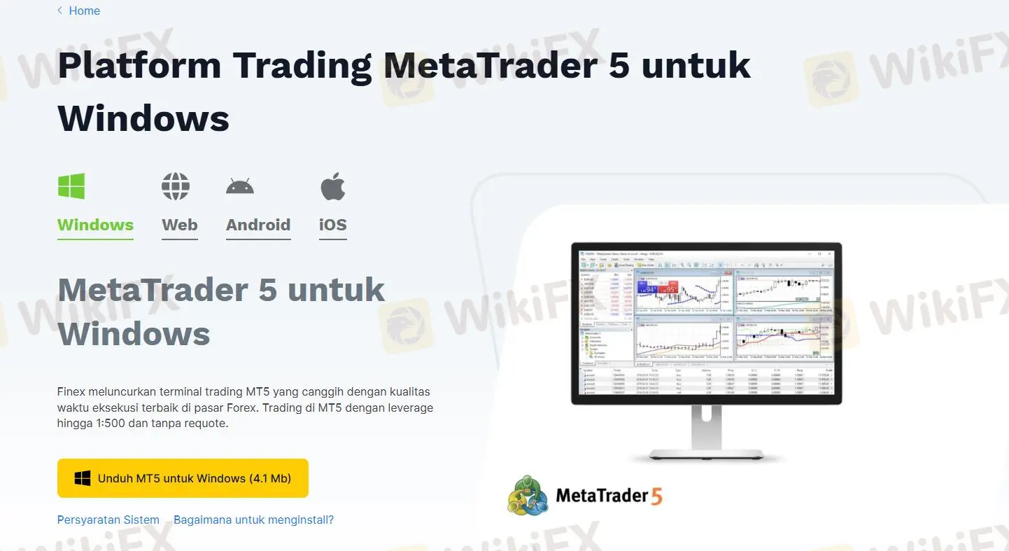 MT5