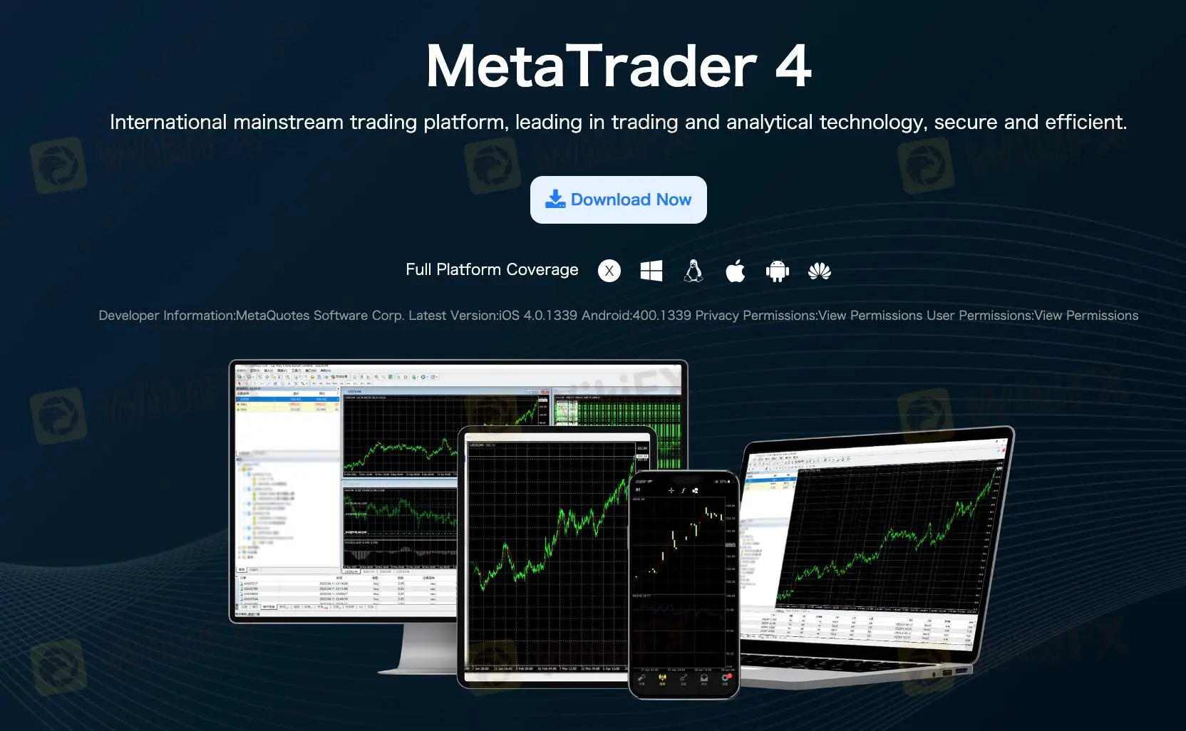 MT4