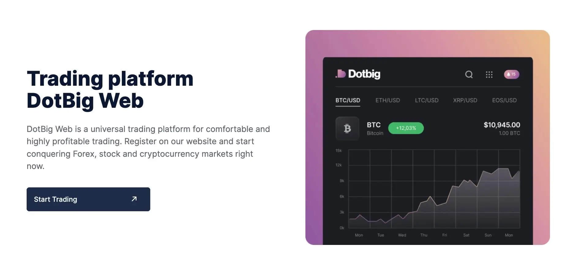 DotBig Web DotBig Web