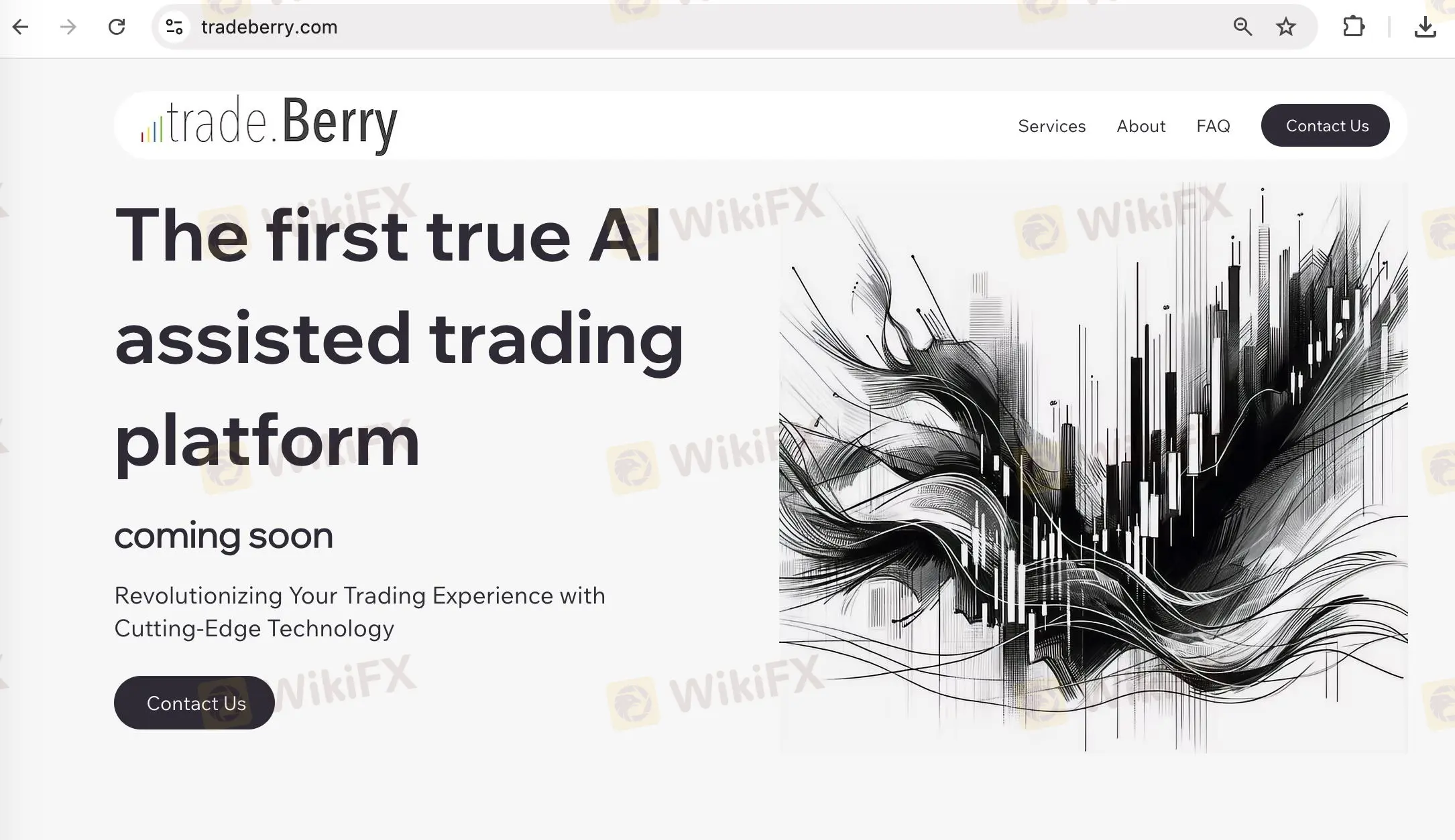 الصفحة الرئيسية لـ Tradeberry