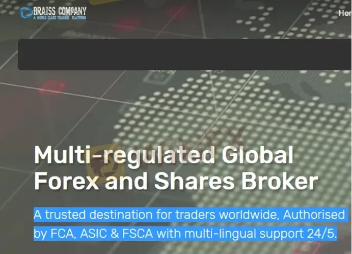 BRAISS COMPANY's主页