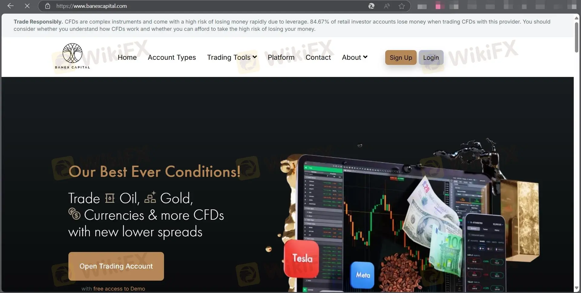 Página principal de BANEX CAPITAL Página principal de BANEX CAPITAL