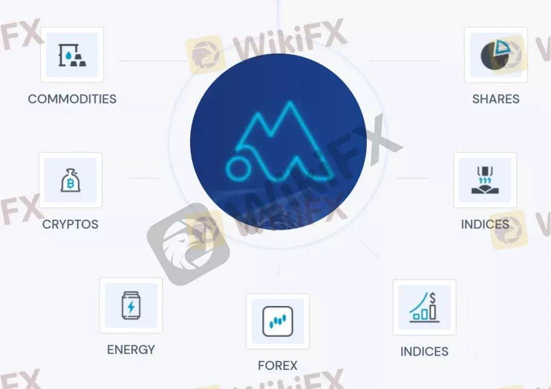 我可以在Multi Stock Trading上交易什么？