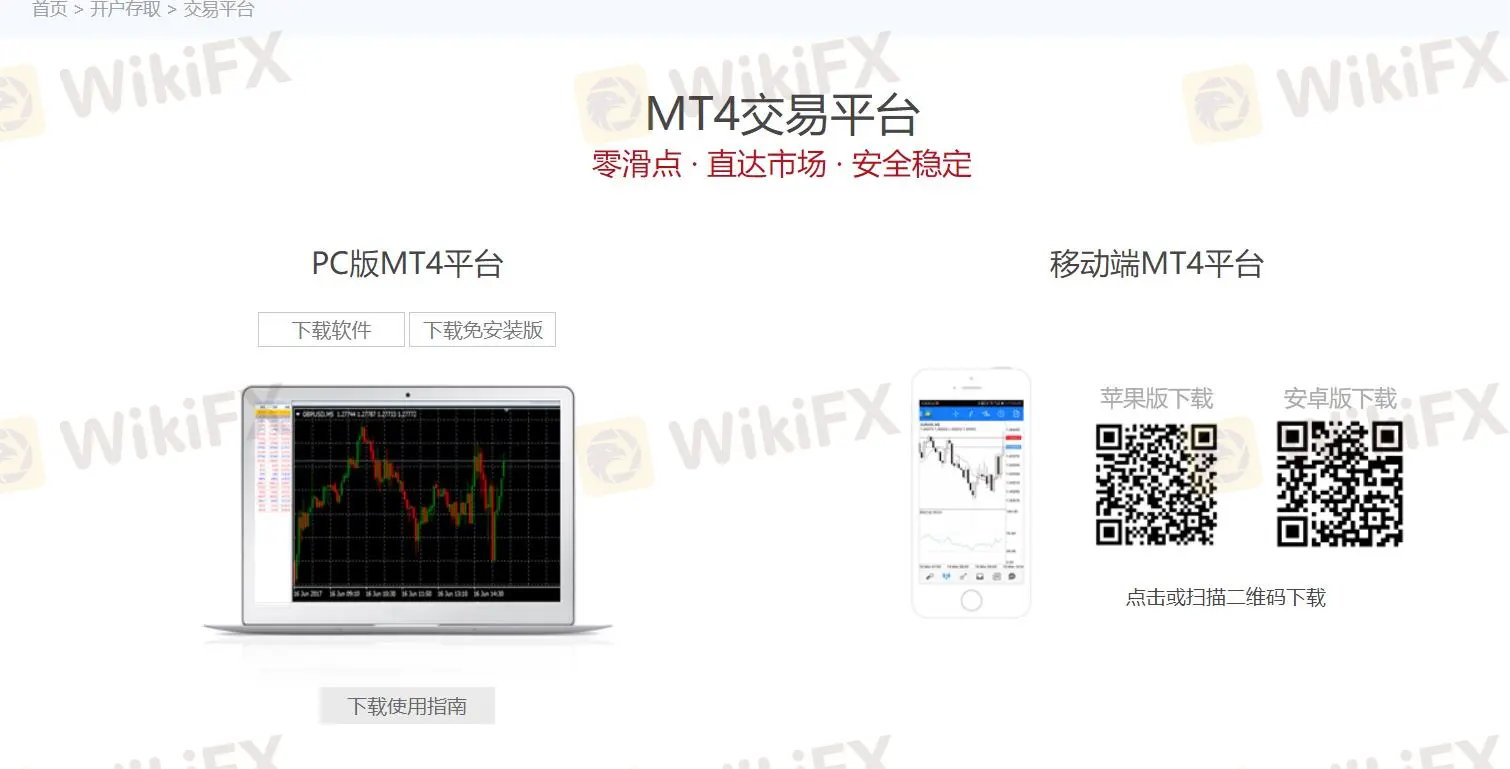MT4