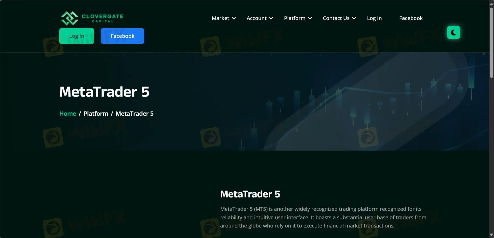 MT5