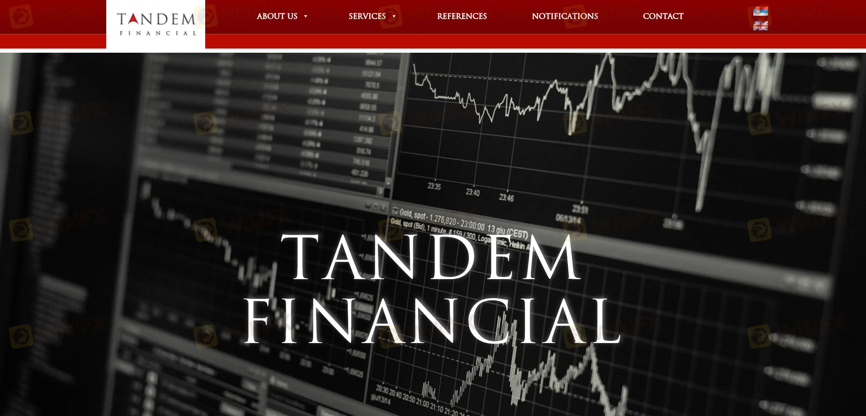 TANDEM 信息