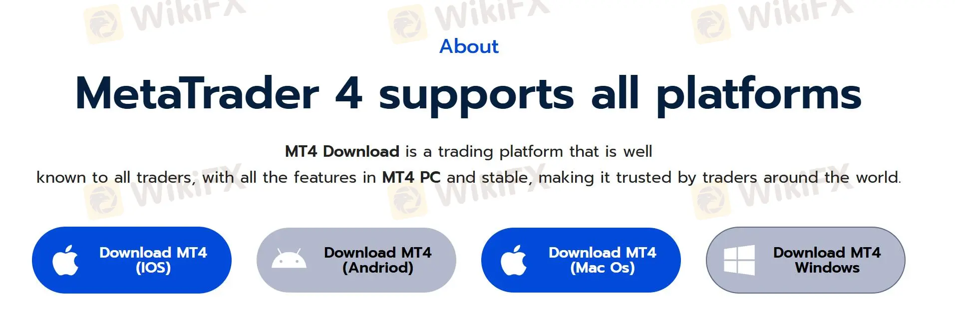 MT4