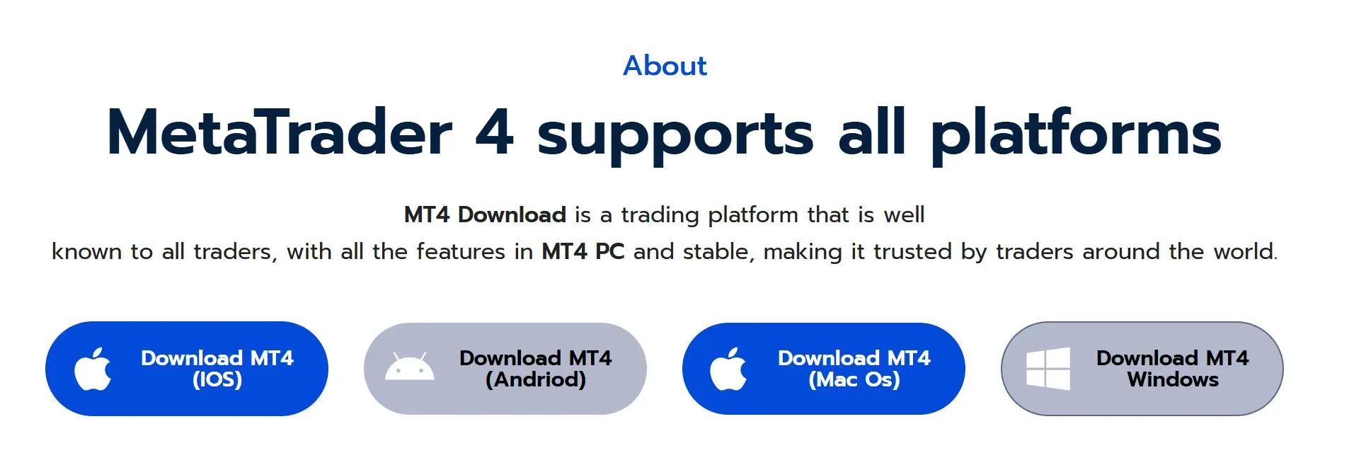 MT4