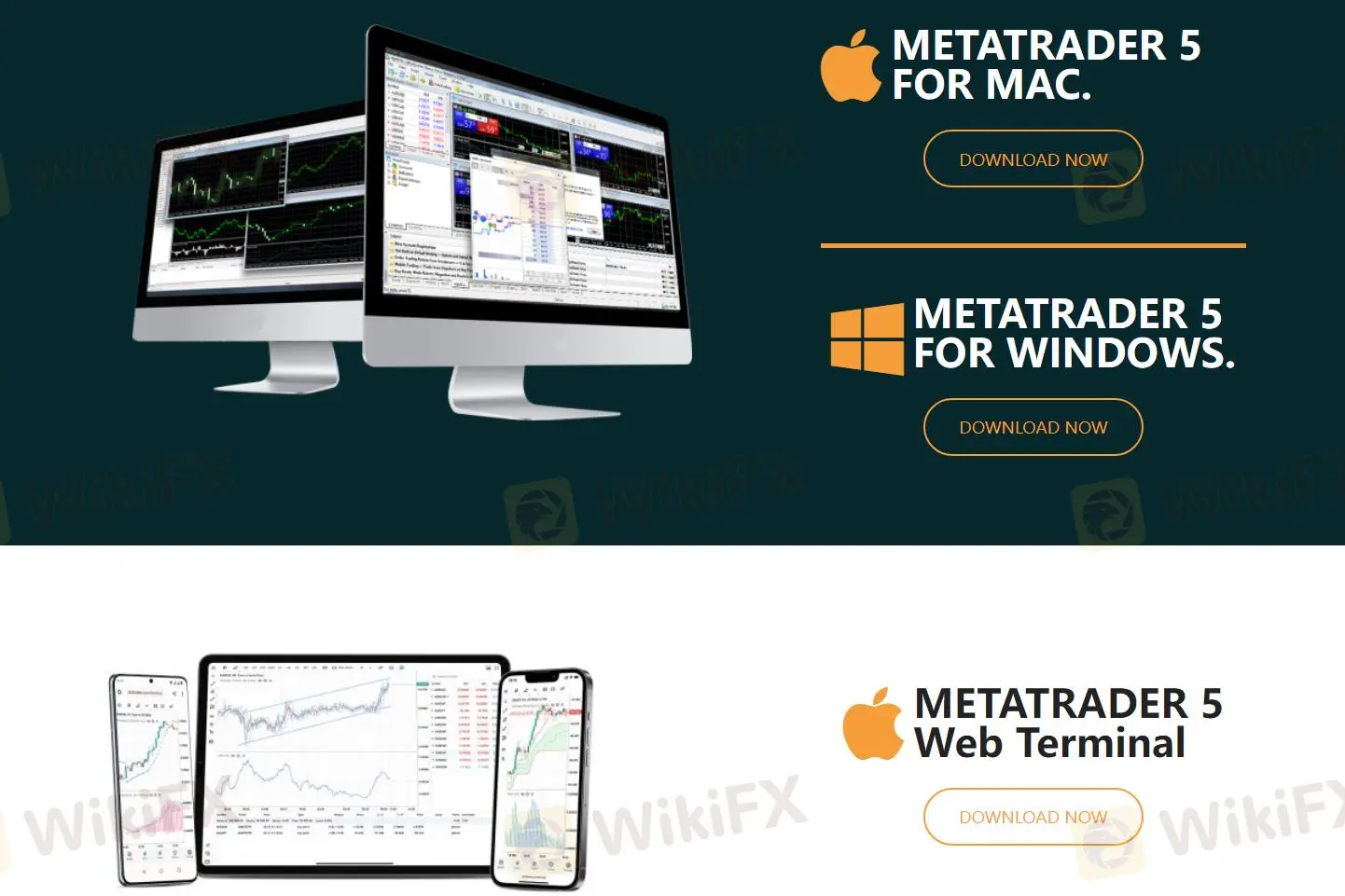 MT5