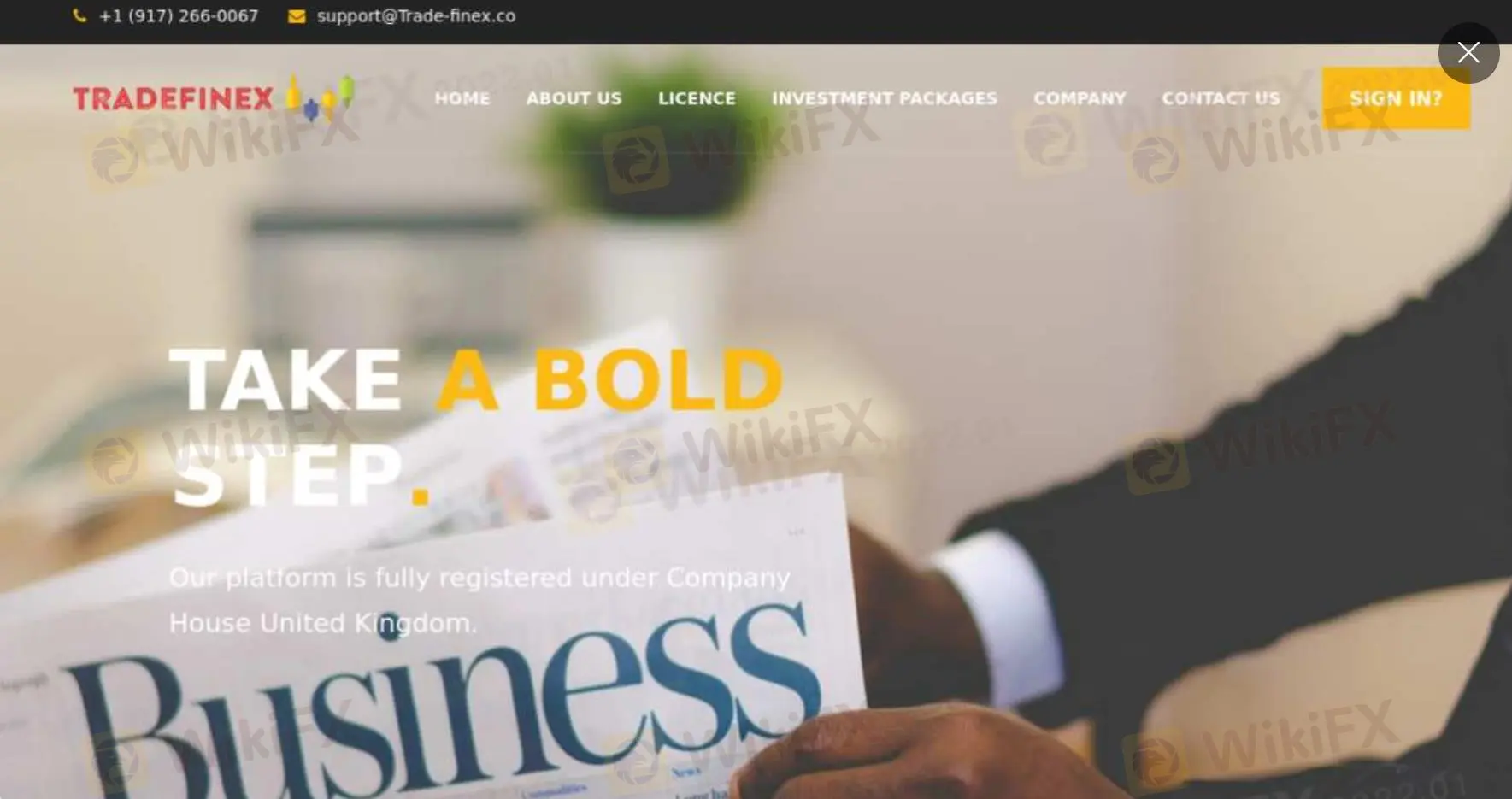 TRADEFINEX Information