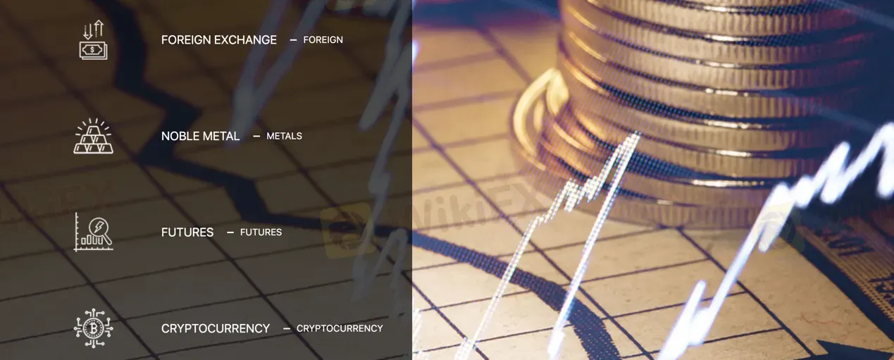 What Can I Trade on Macro Capital Group Ltd? What Can I Trade on Macro Capital Group Ltd?