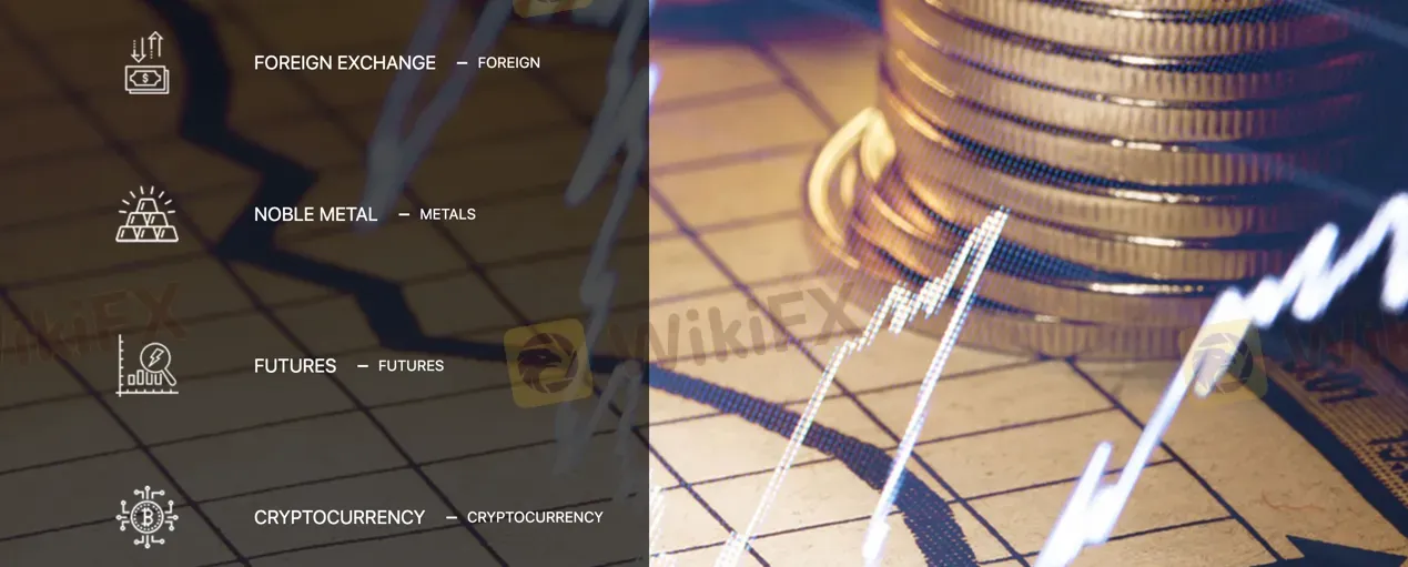 ¿Qué puedo operar en Macro Capital Group Ltd?