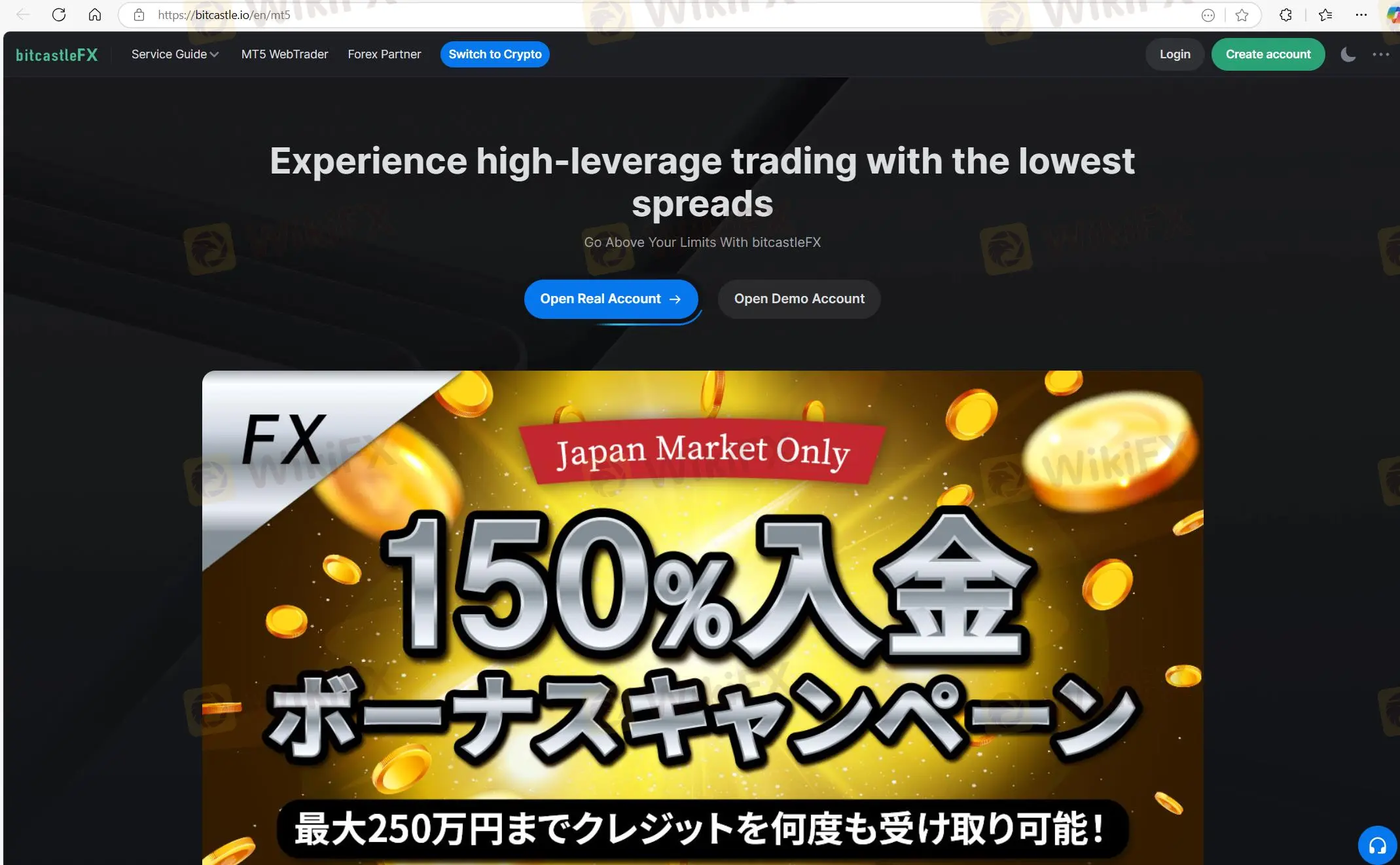 bitcastle 的主页